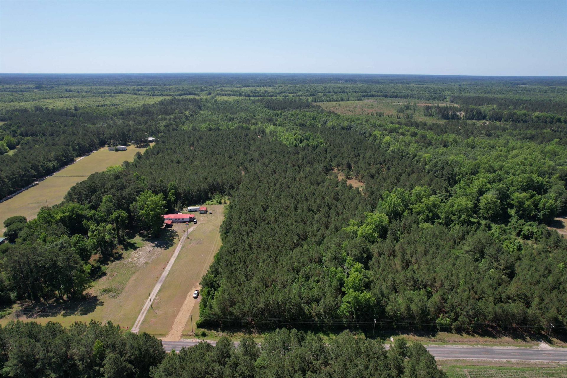 43 Acres - 5432 Juneburn Rd.  Photo 11