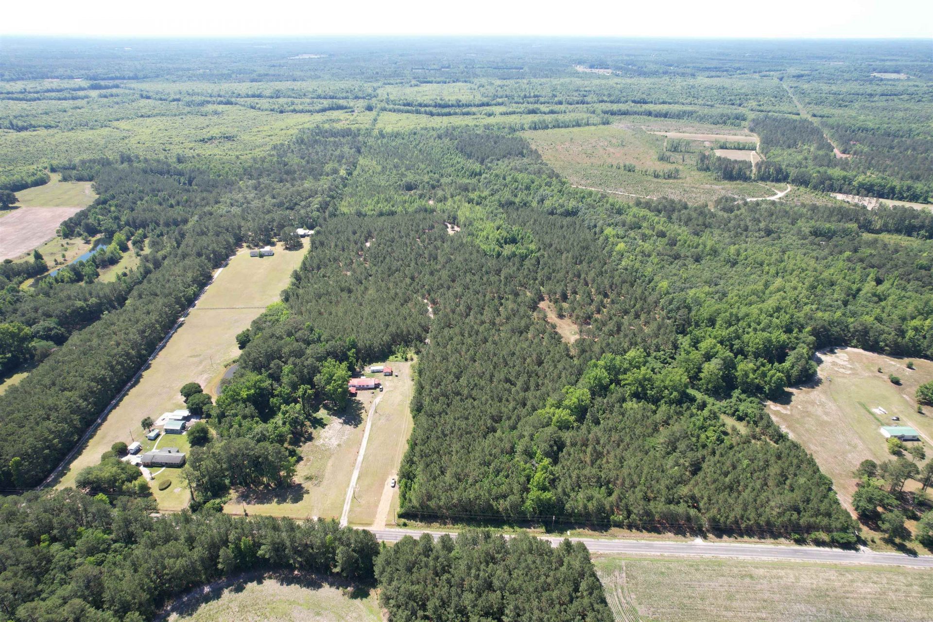 43 Acres - 5432 Juneburn Rd.  Photo 12