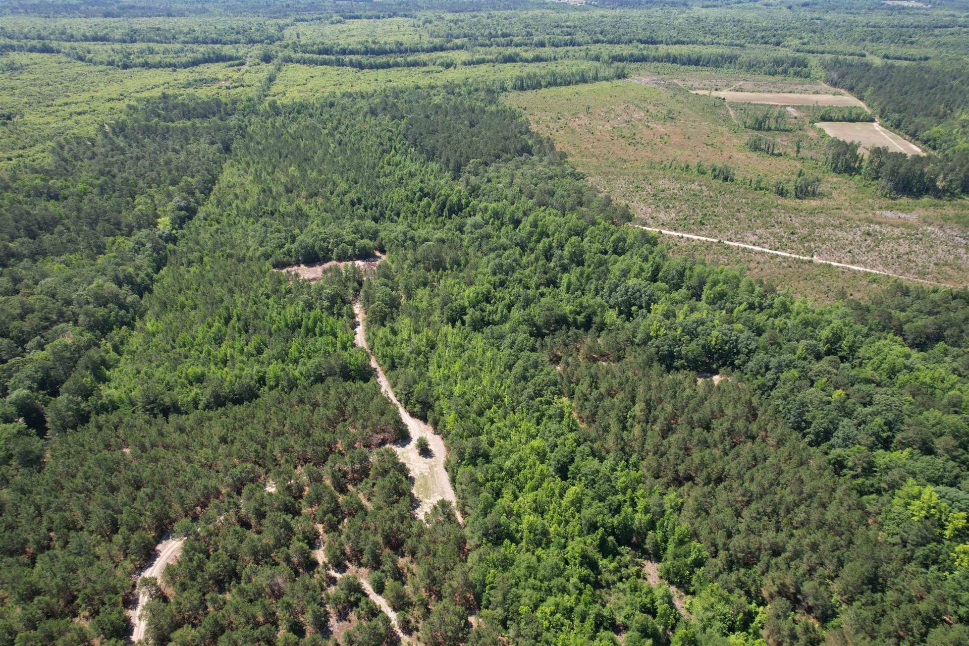 43 Acres - 5432 Juneburn Rd.  Photo 14
