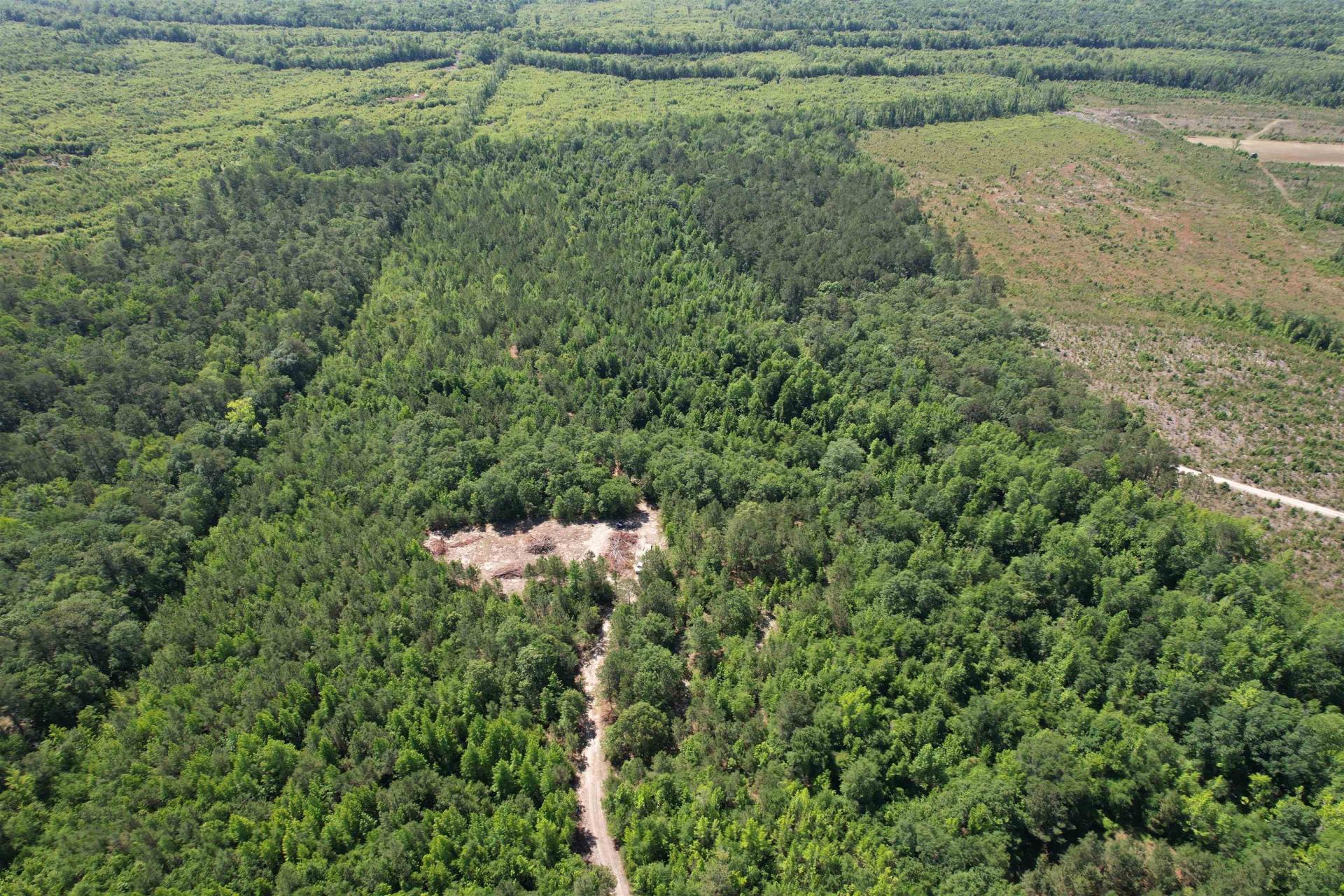 43 Acres - 5432 Juneburn Rd.  Photo 15