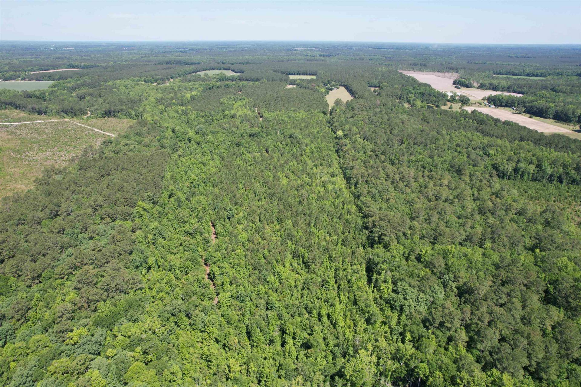43 Acres - 5432 Juneburn Rd.  Photo 20