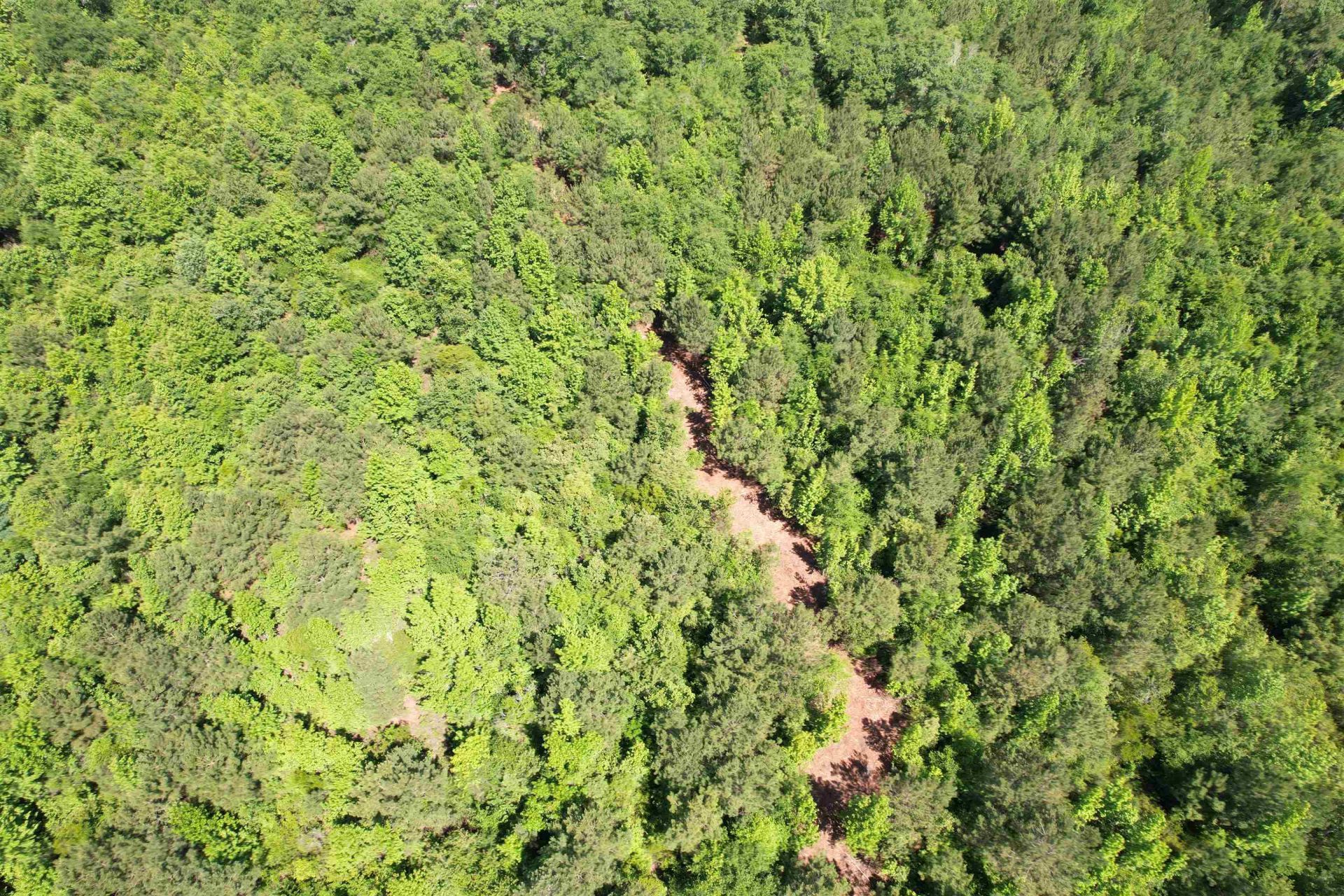 43 Acres - 5432 Juneburn Rd.  Photo 21