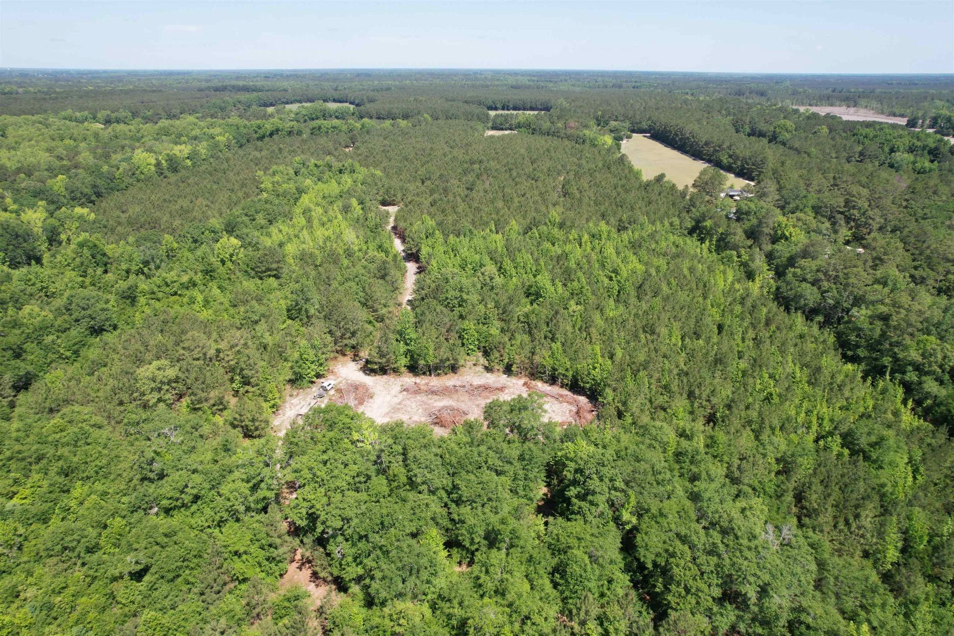 43 Acres - 5432 Juneburn Rd.  Photo 22