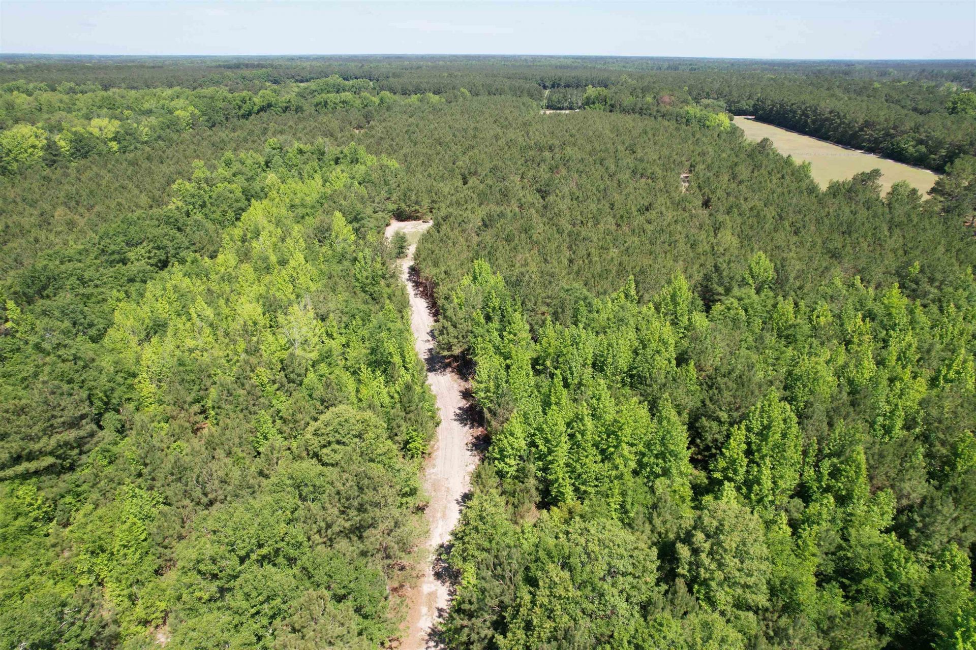 43 Acres - 5432 Juneburn Rd.  Photo 23