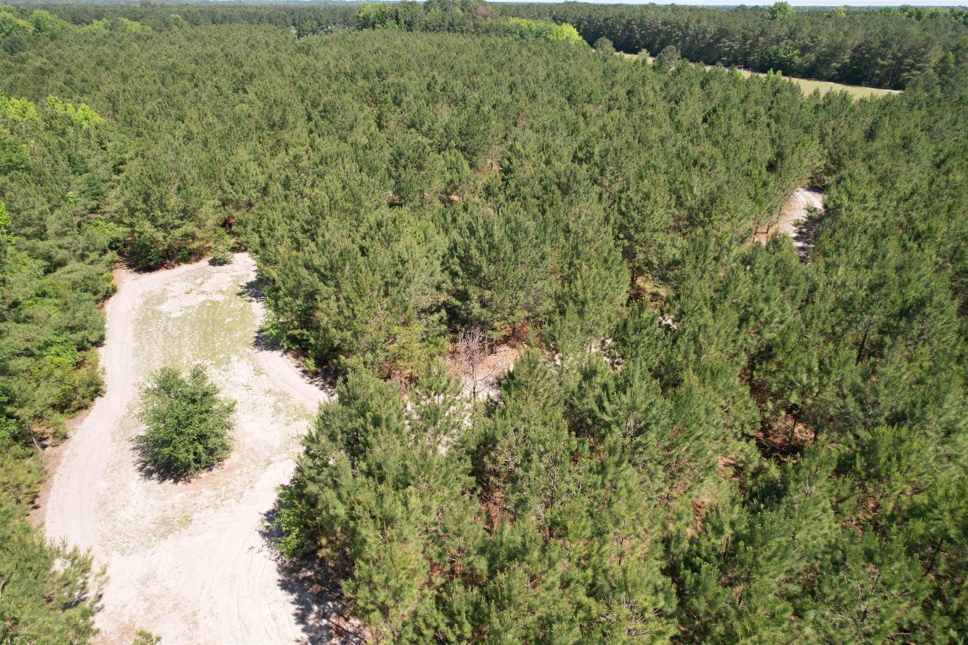43 Acres - 5432 Juneburn Rd.  Photo 26