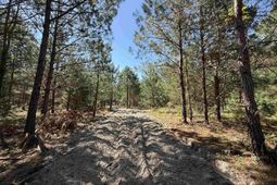 43 Acres - 5432 Juneburn Rd.  photo 4