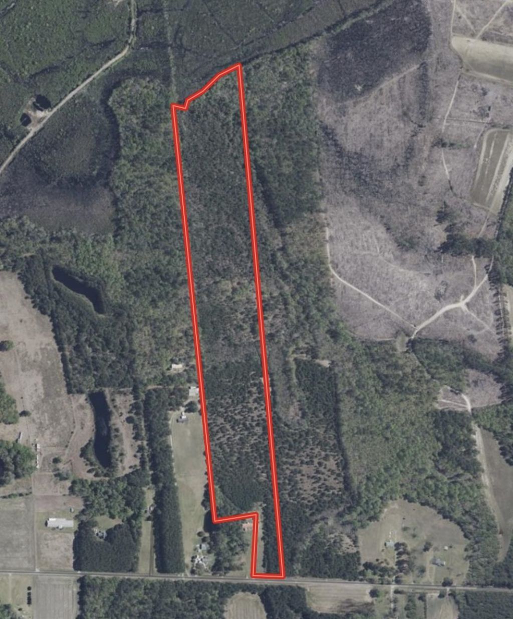 43 Acres - 5432 Juneburn Rd.  Photo 32