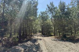 43 Acres - 5432 Juneburn Rd.  photo 4