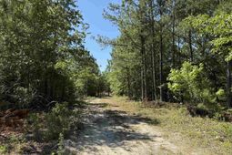 43 Acres - 5432 Juneburn Rd.  photo 4