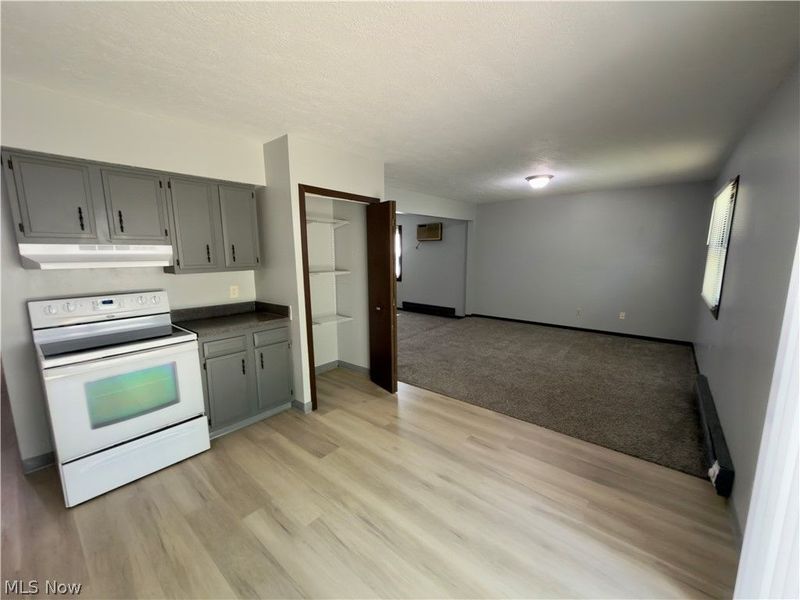 Lorain, OH 44053 Photo 11