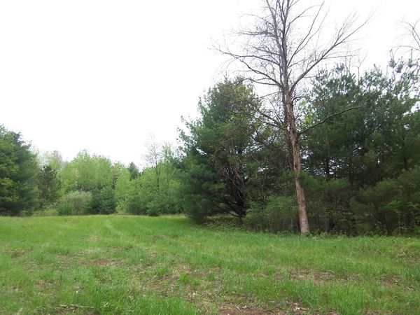 COUNTY ROAD S, Sobieski, WI 54171