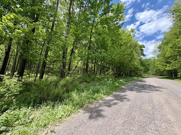 Marys Lane , Spring Brook Twp, PA 18444
