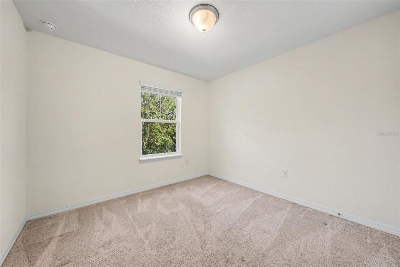 15568 Blackbead Street , Winter Garden, FL 34787 Photo