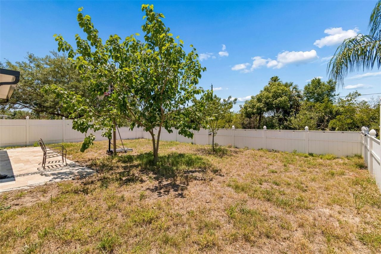 8718 Sandy Plains Drive , Riverview, FL 33578 Photo