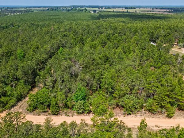 0 Allen Drive, Mauk, GA 31058