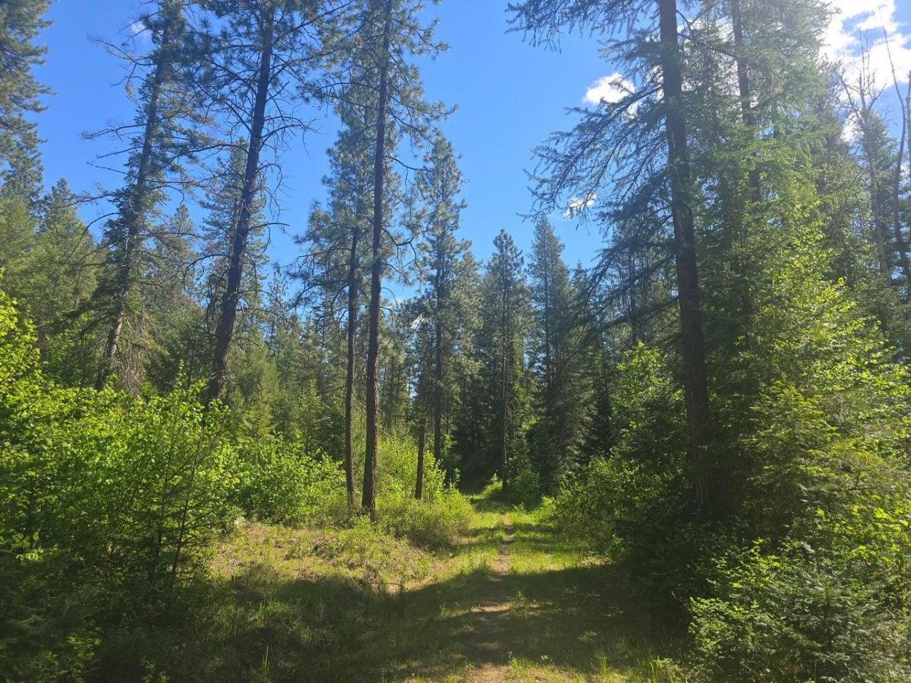 36xx Northport Flat Creek Rd, Kettle Falls, WA 99141 Main Photo