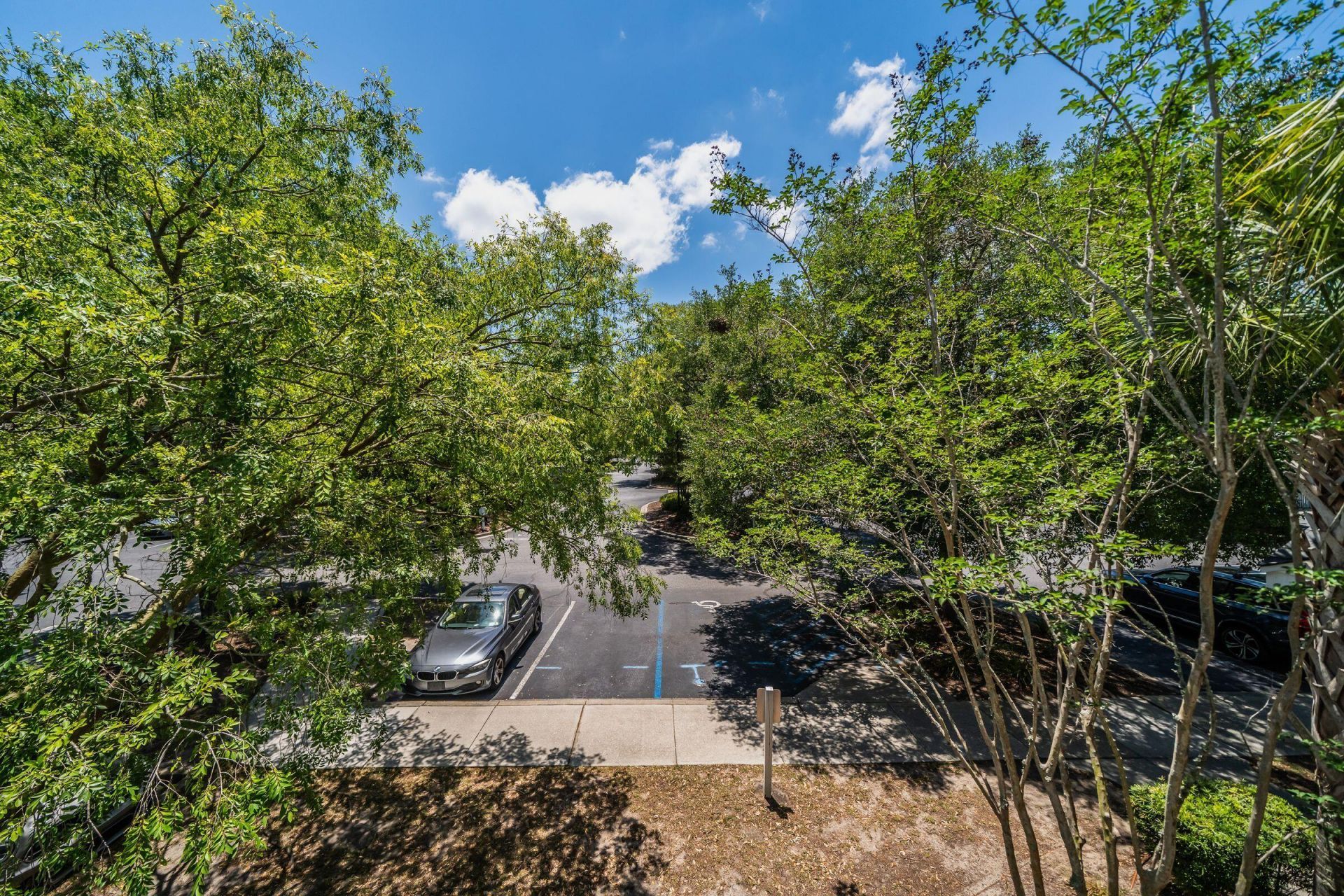 45 Sycamore Avenue Photo 29