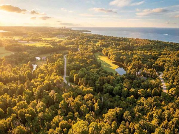 1000 N Stonebridge Dr PVT, Charlevoix, MI 49720