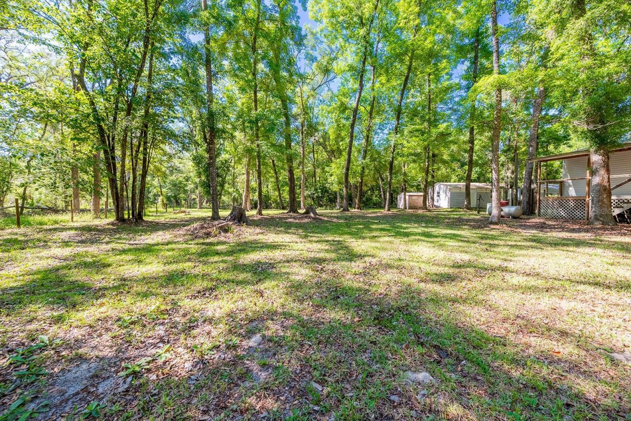 343 NE 743rd Street , Old Town, FL 32680 Photo