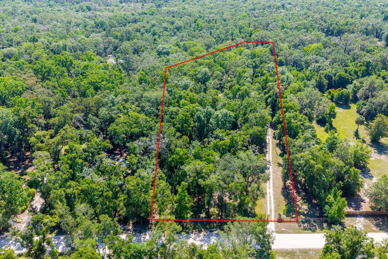 343 NE 743rd Street , Old Town, FL 32680 Photo