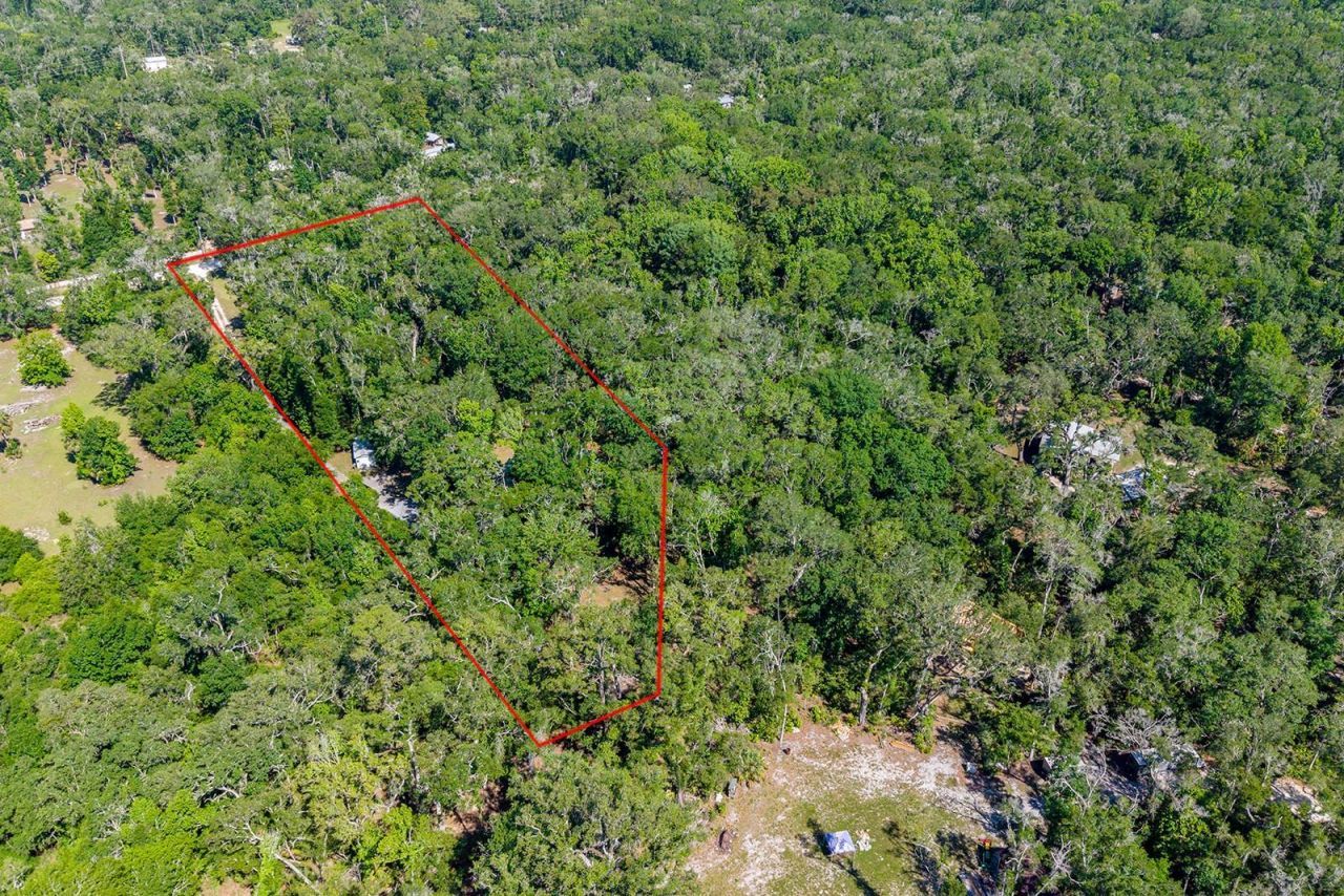 343 NE 743rd Street , Old Town, FL 32680 Photo