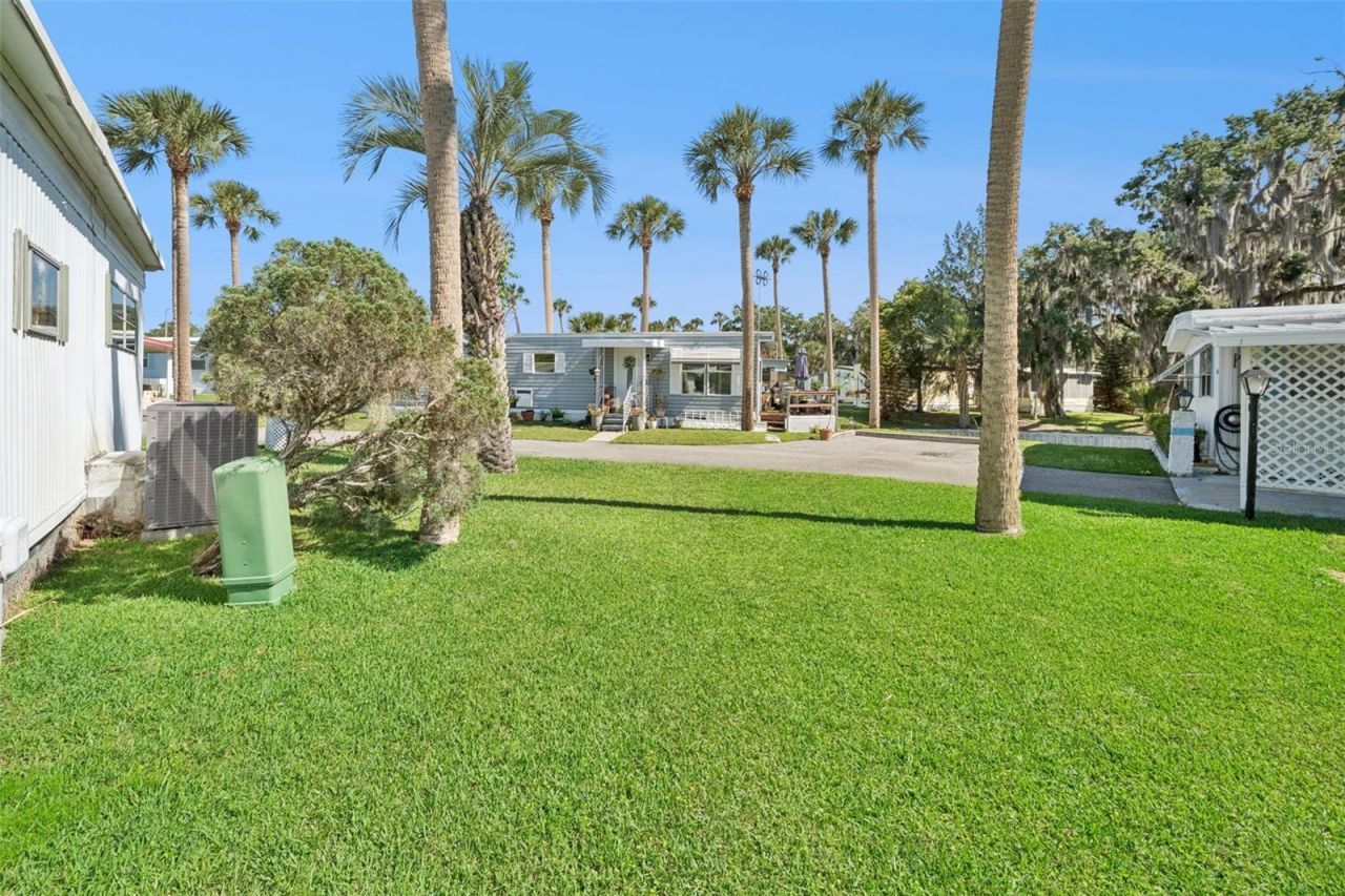 43 Sabal Palm Circle , Eustis, FL 32726 Photo