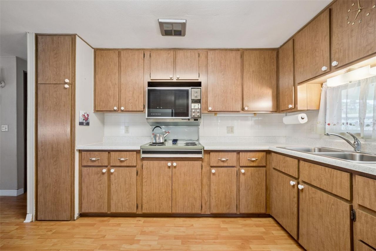 43 Sabal Palm Circle , Eustis, FL 32726 Photo