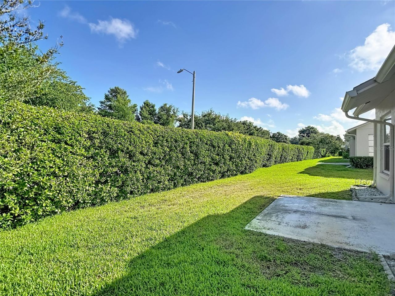 11543 Orleans Lane, Port Richey, FL 34668 Photo
