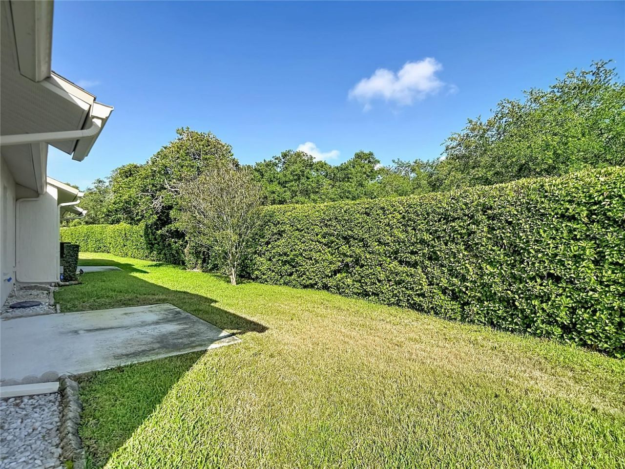 11543 Orleans Lane, Port Richey, FL 34668 Photo
