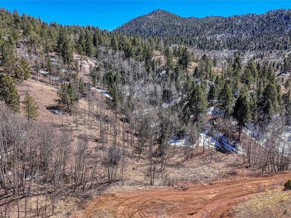 513 Last Dollar Drive , Cripple Creek, CO 80813