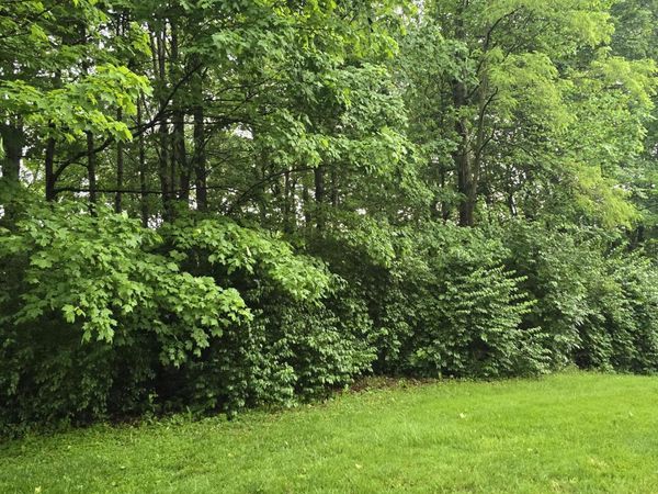 9895 Irishmans Run Lane , Zionsville, IN 46077