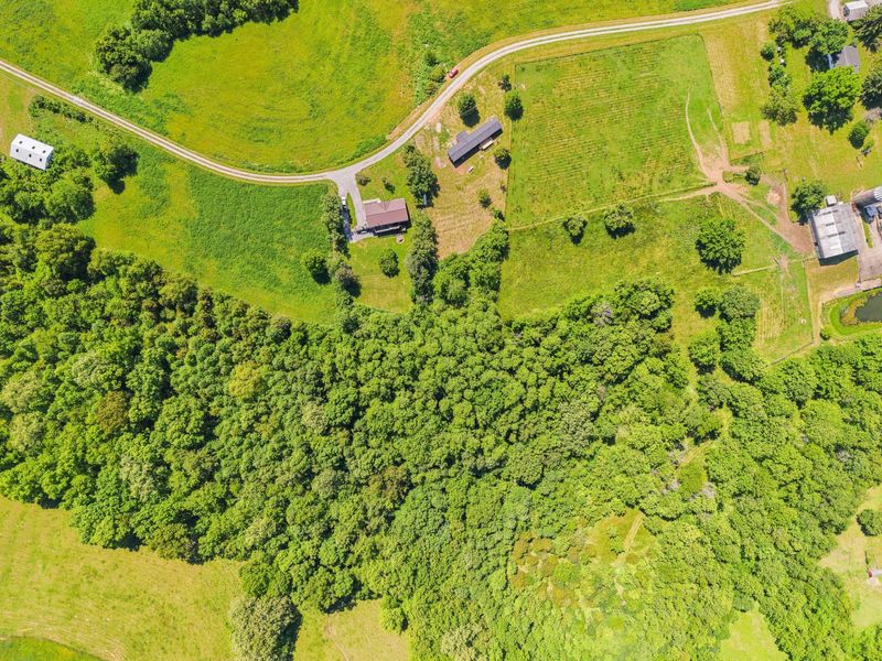 121 Bischoff Lane, Brooksville, KY 41004 Photo 30