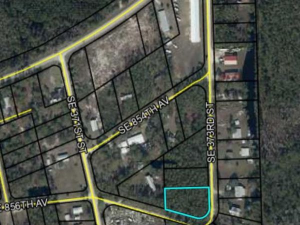 244 SE 373rd St, Old Town, FL 32680