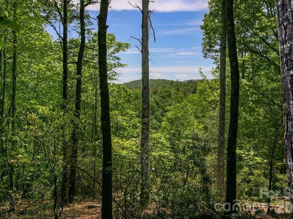 TBD Diamond Creek Road , Lake Toxaway, NC 28747