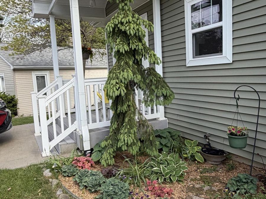 Property Image 53