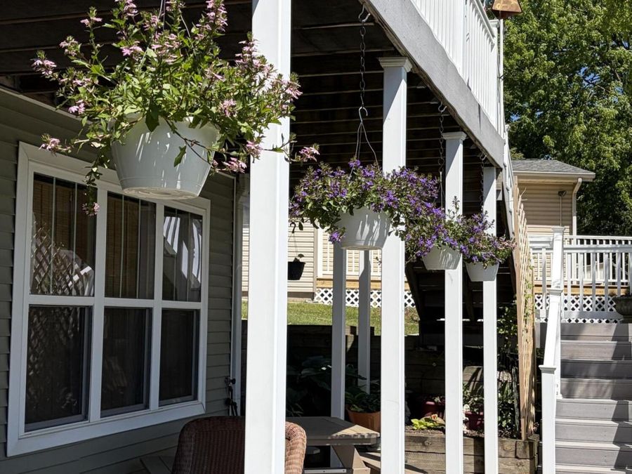 Property Image 59