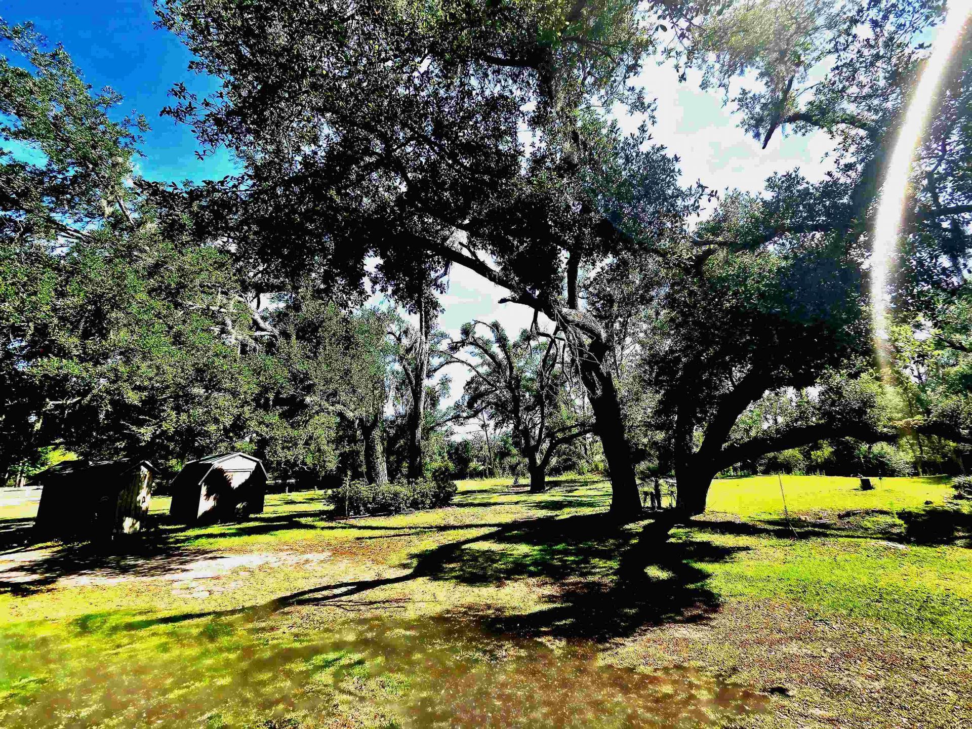 585 Mangum Close Road, Perry, FL 32347 Photo