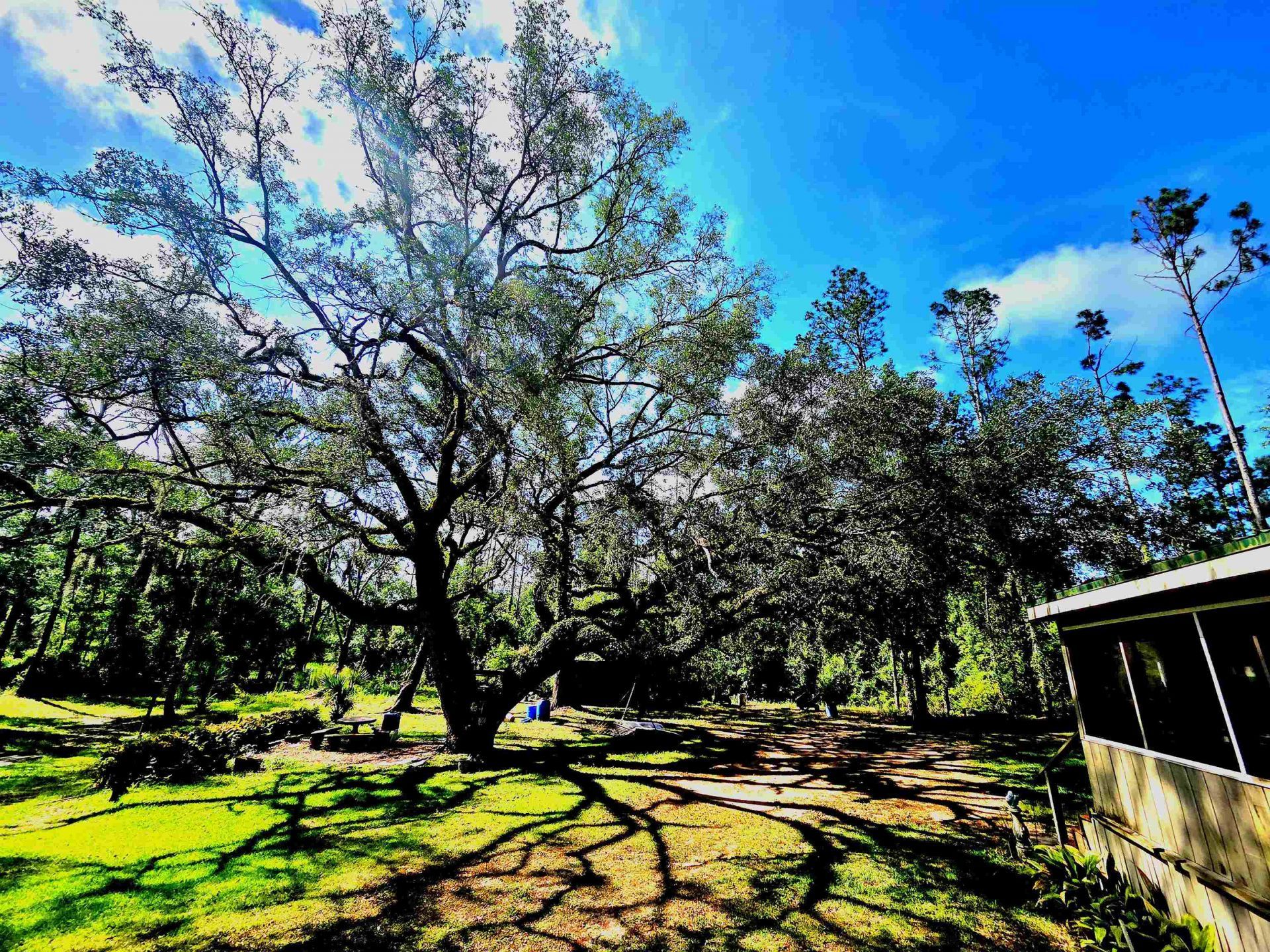 585 Mangum Close Road, Perry, FL 32347 Photo