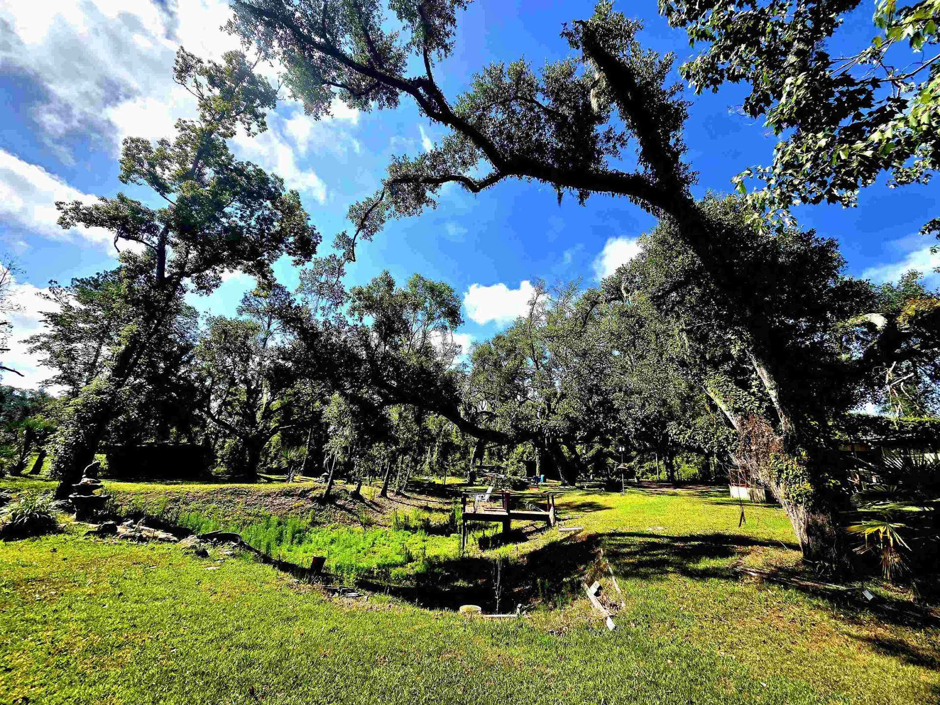 585 Mangum Close Road, Perry, FL 32347 Photo