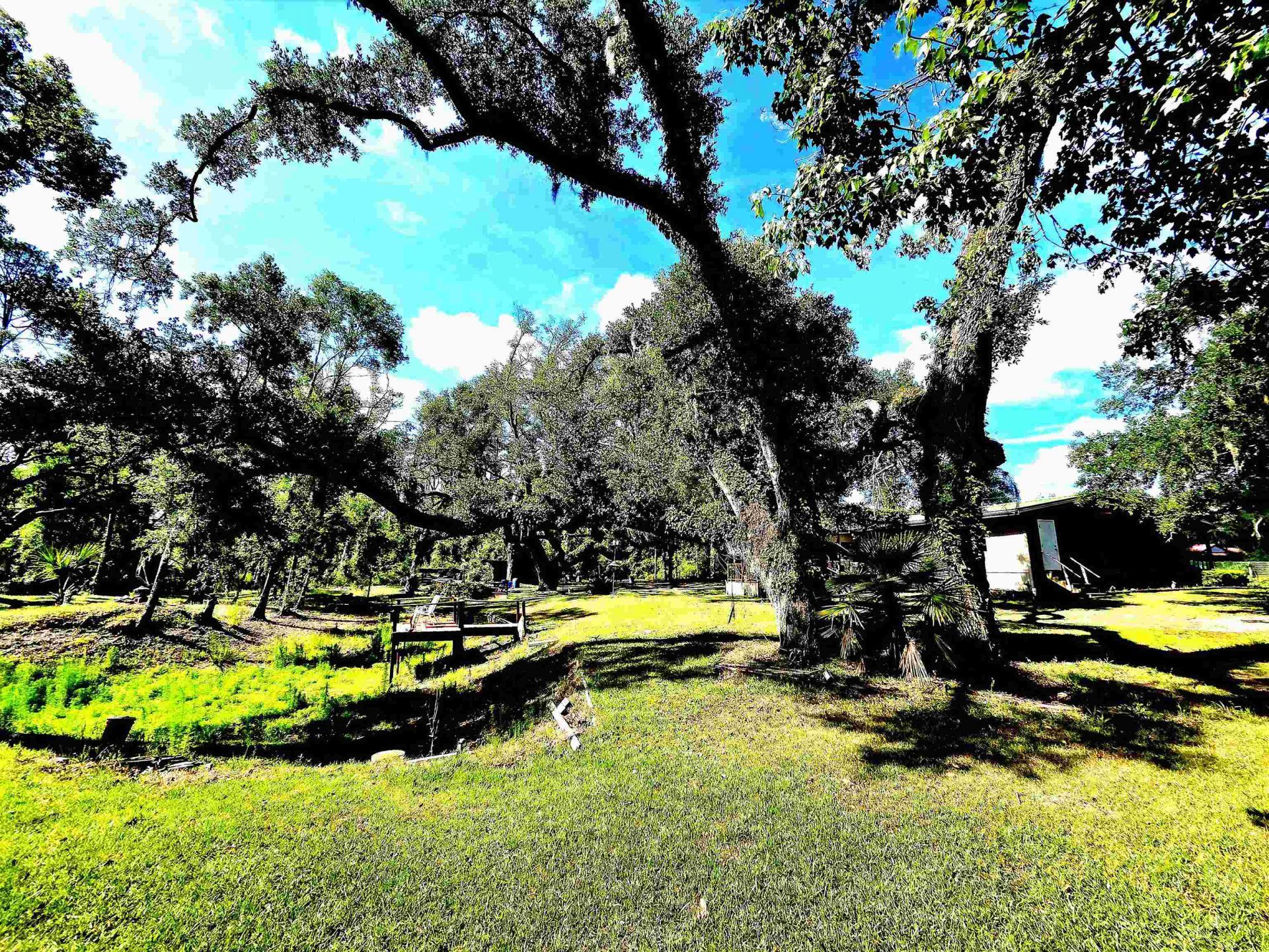 585 Mangum Close Road, Perry, FL 32347 Photo