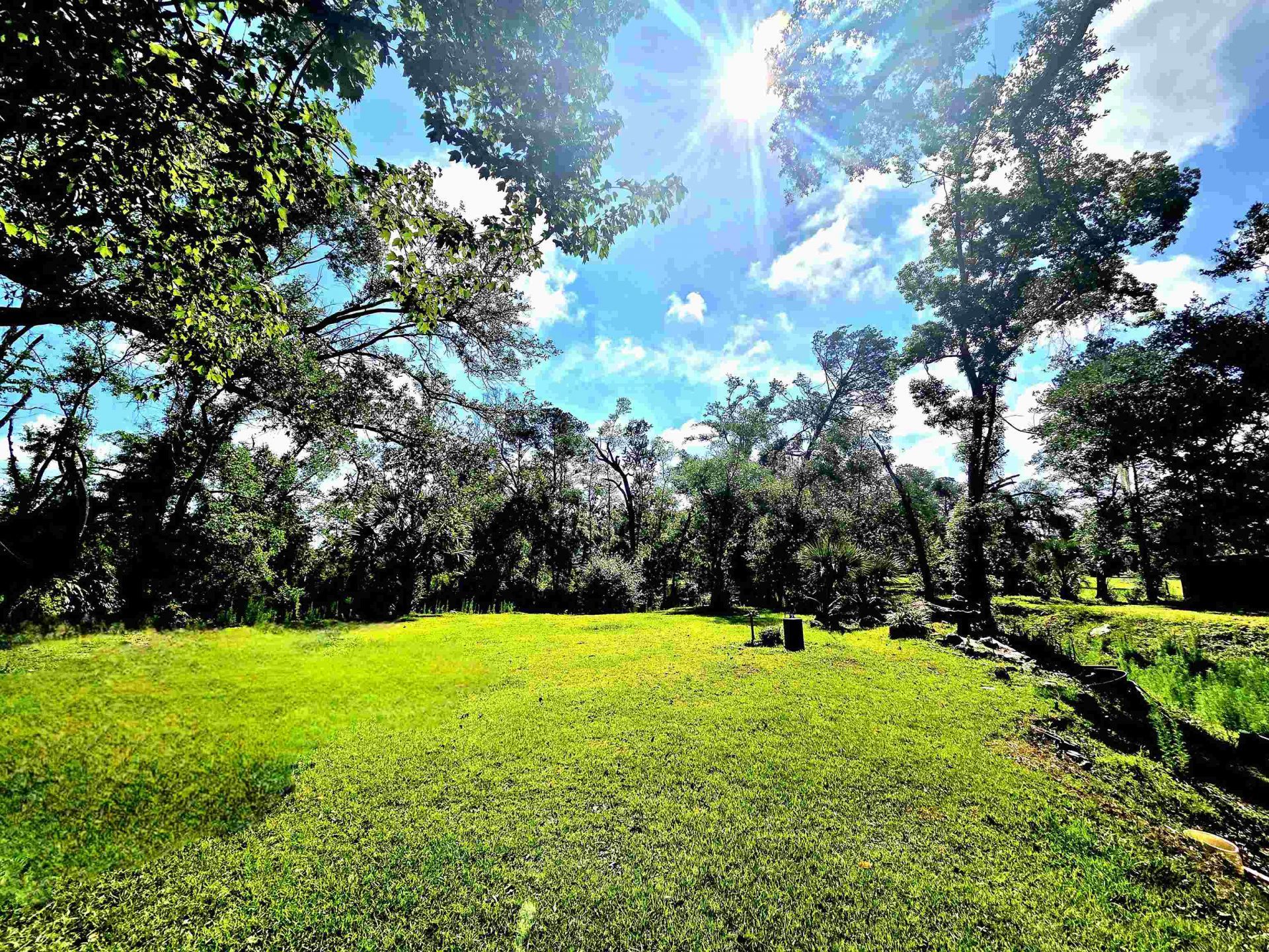 585 Mangum Close Road, Perry, FL 32347 Photo