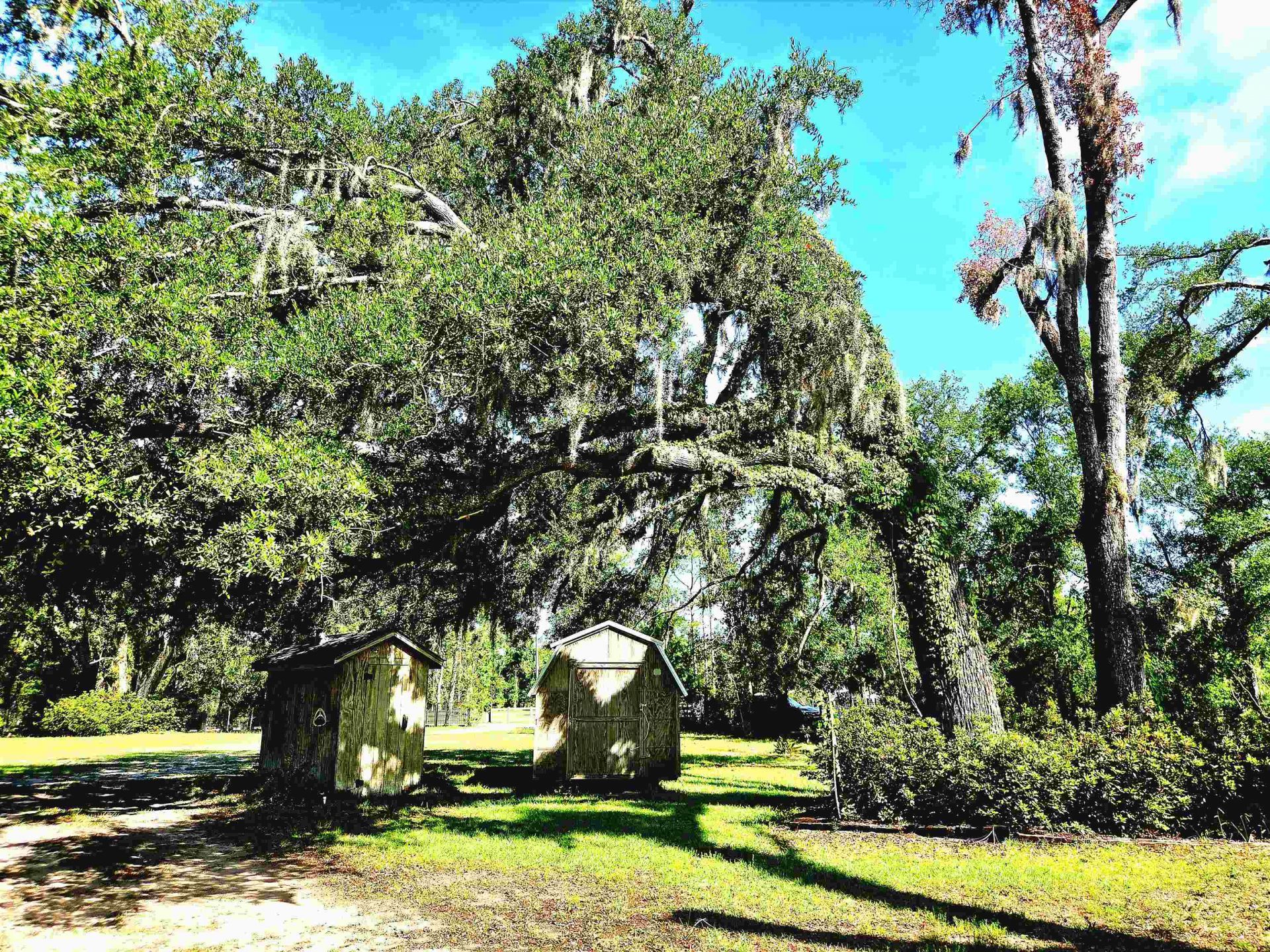 585 Mangum Close Road, Perry, FL 32347 Photo