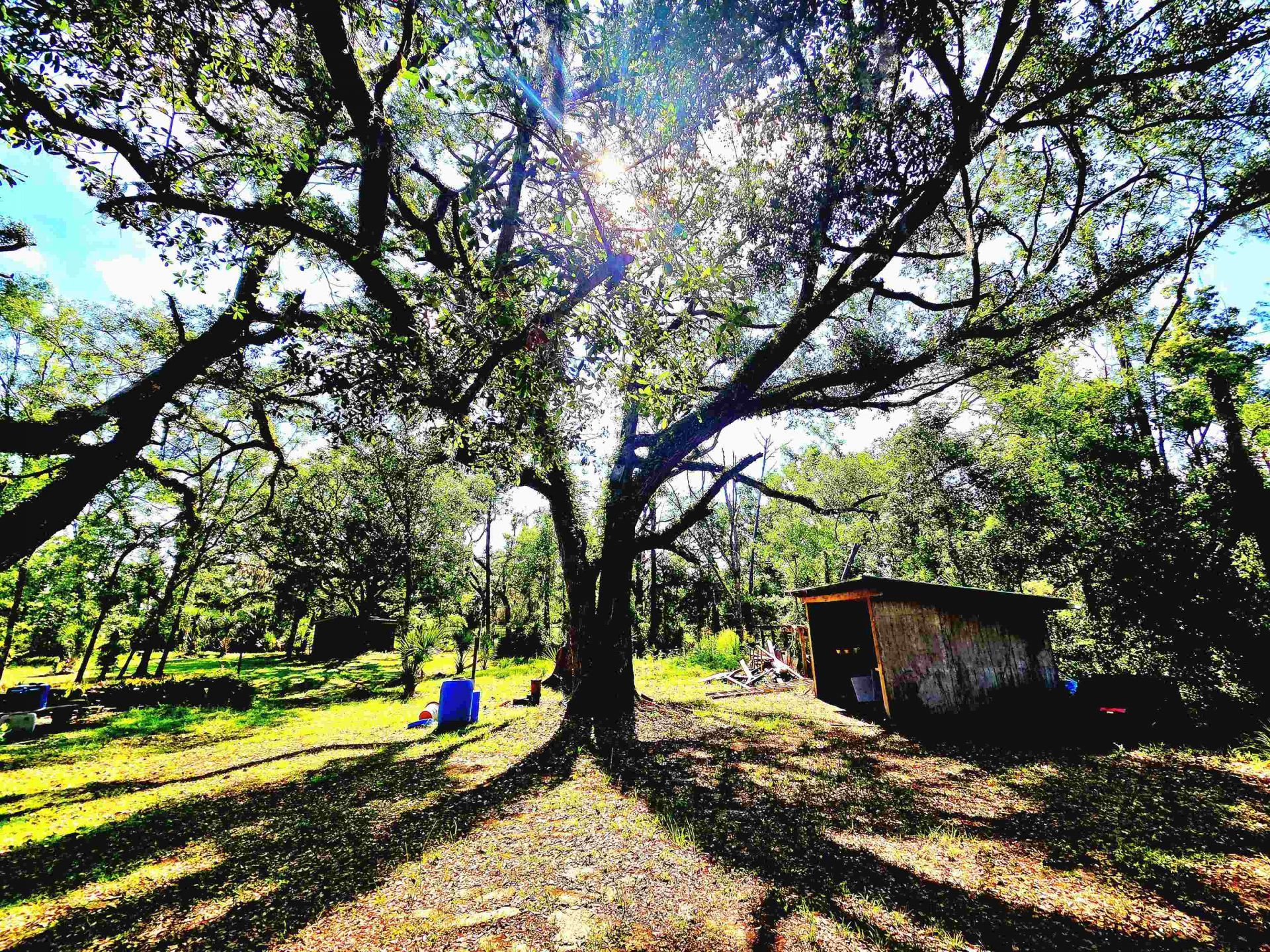 585 Mangum Close Road, Perry, FL 32347 Photo