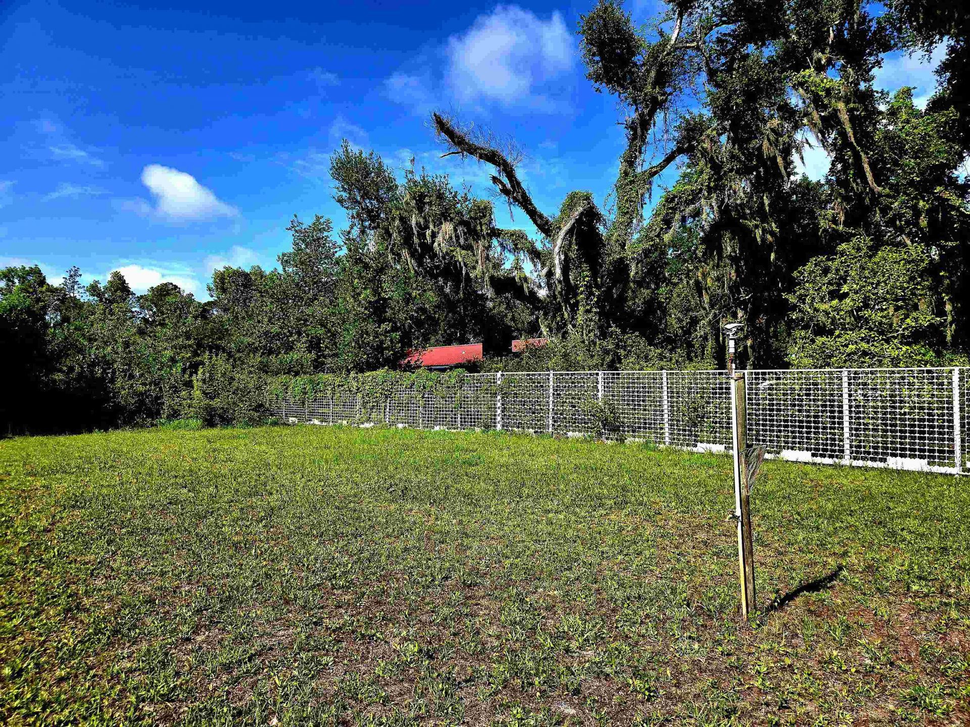585 Mangum Close Road, Perry, FL 32347 Photo