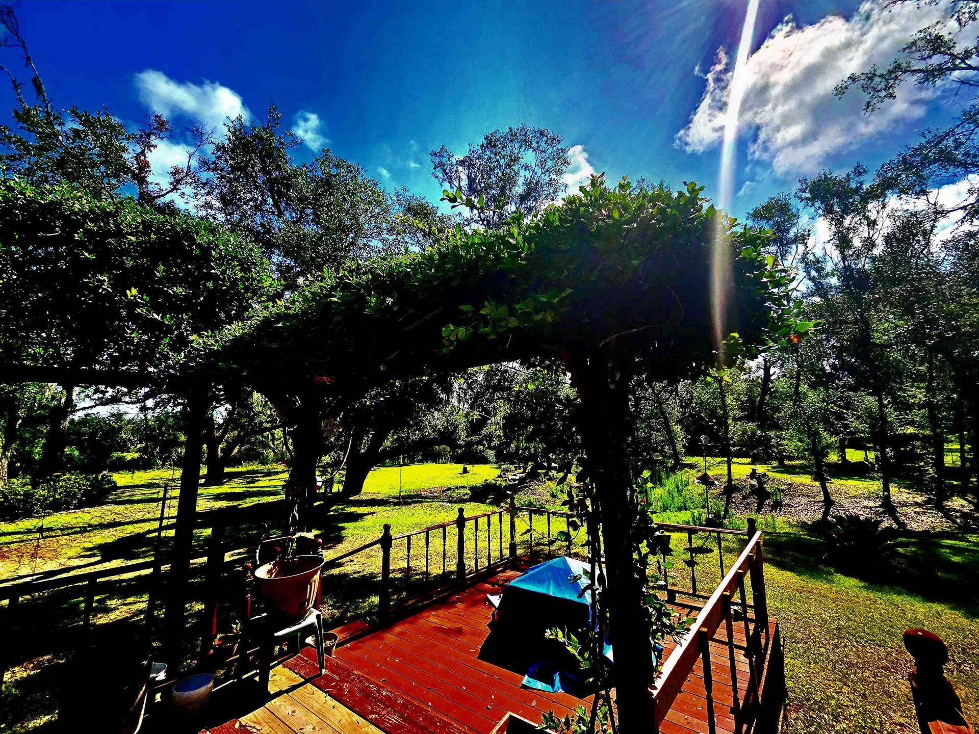 585 Mangum Close Road, Perry, FL 32347 Photo