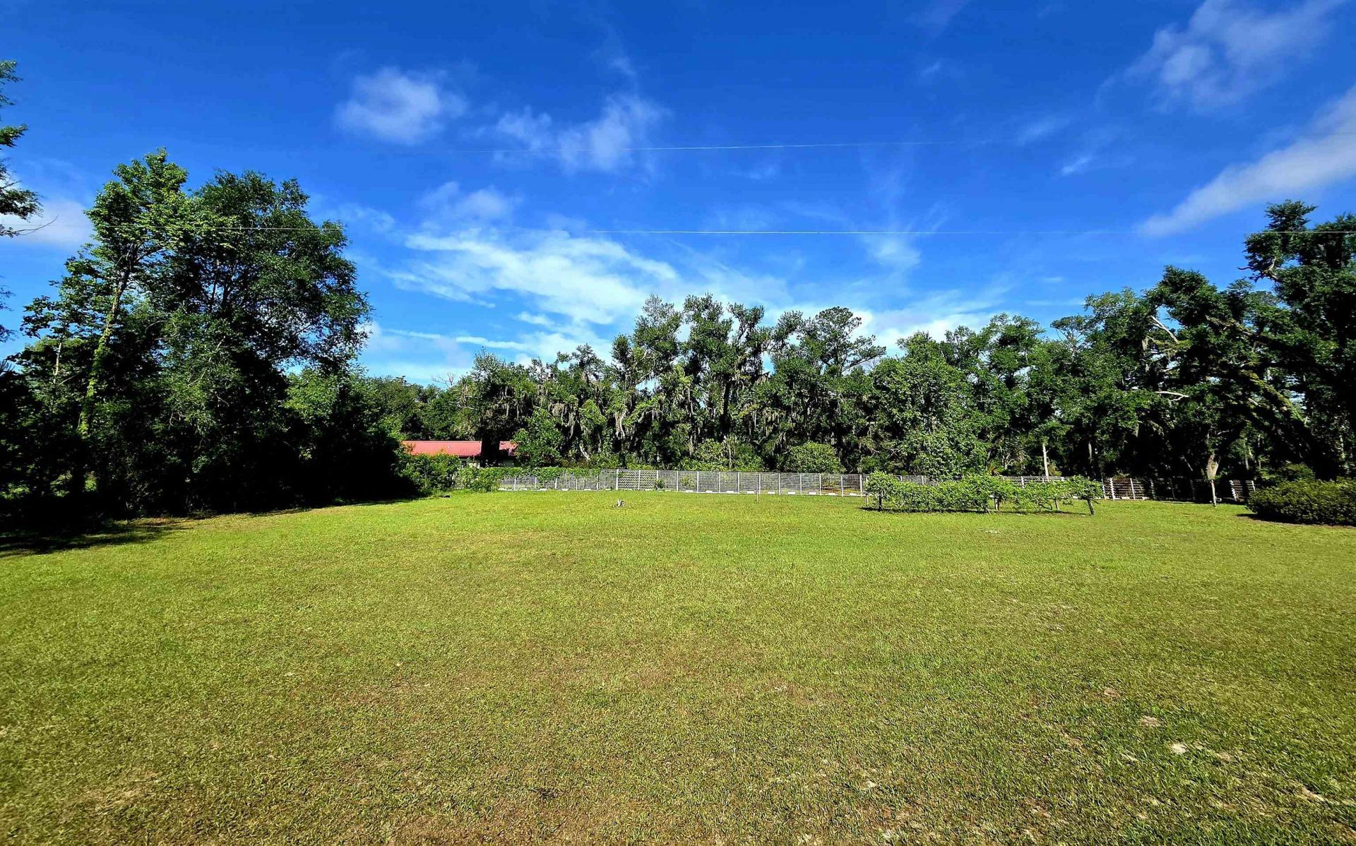 585 Mangum Close Road, Perry, FL 32347 Photo