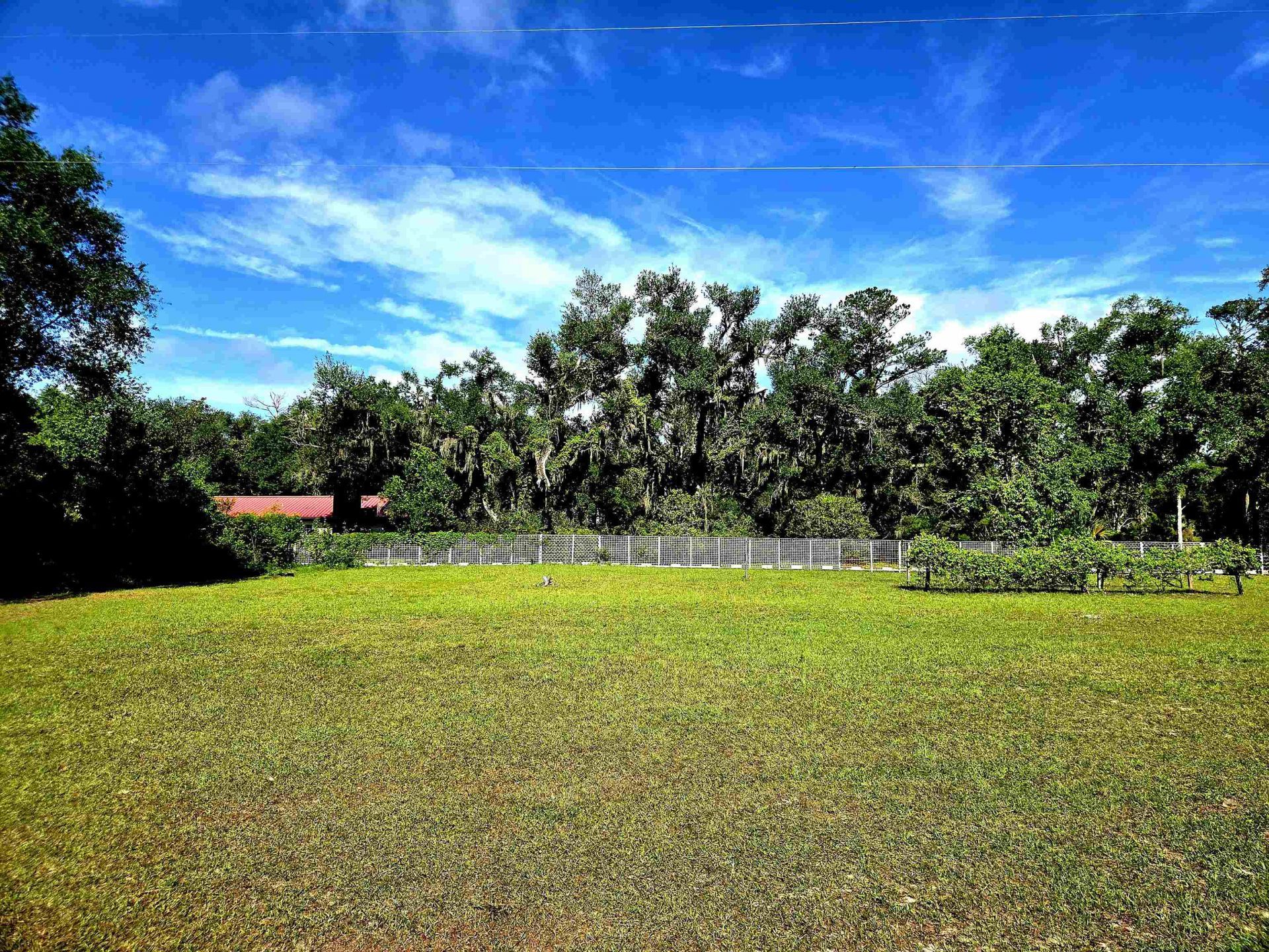 585 Mangum Close Road, Perry, FL 32347 Photo