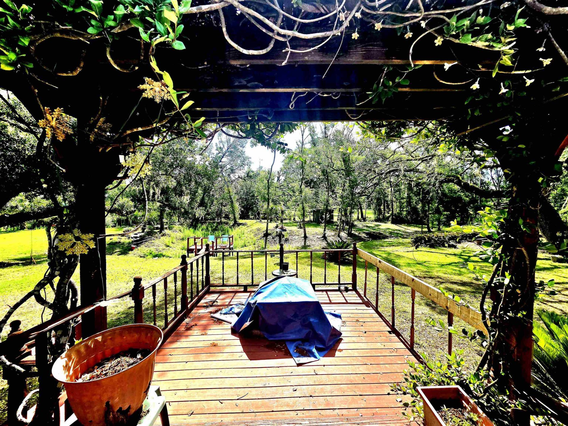 585 Mangum Close Road, Perry, FL 32347 Photo