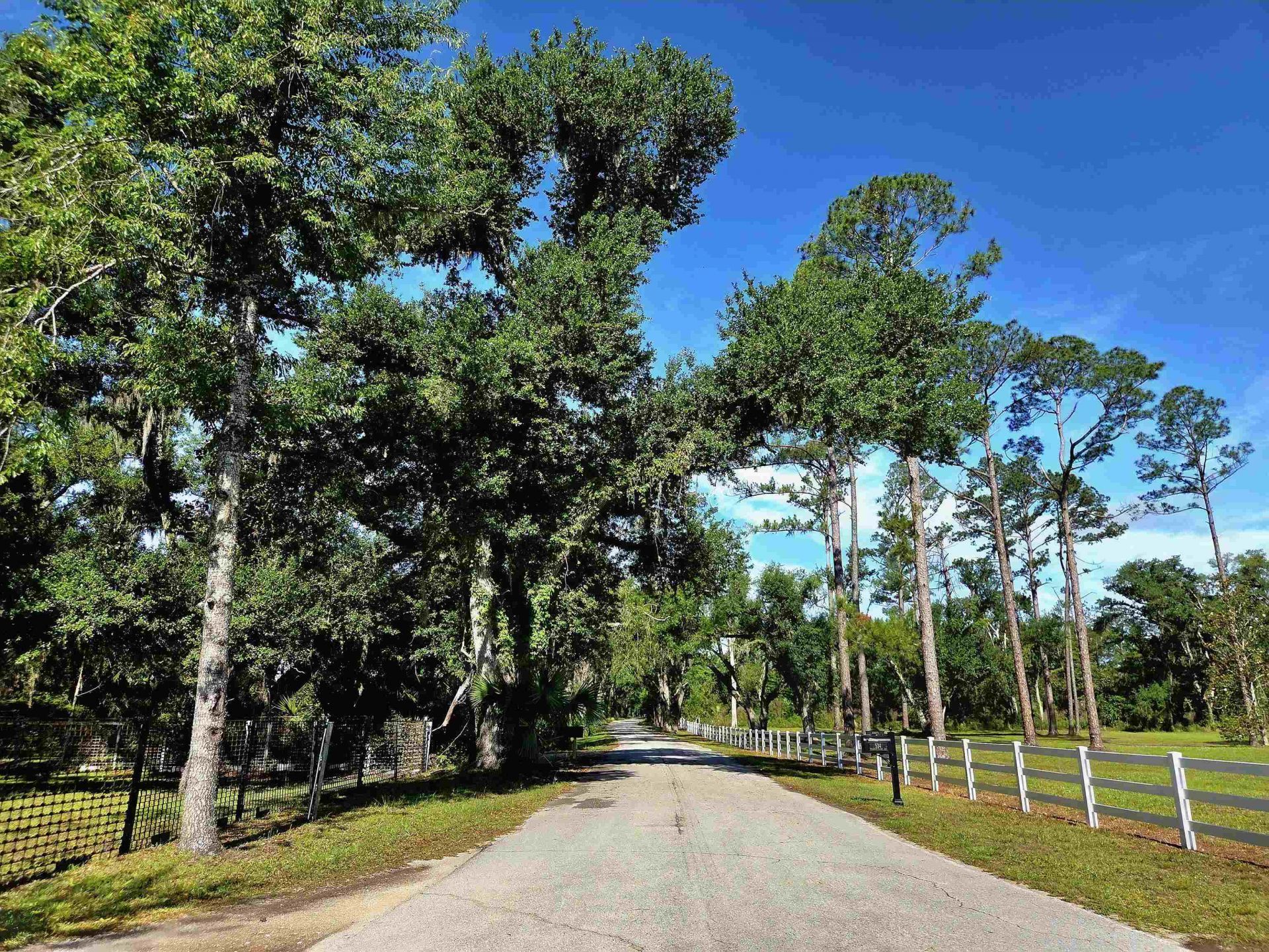 585 Mangum Close Road, Perry, FL 32347 Photo