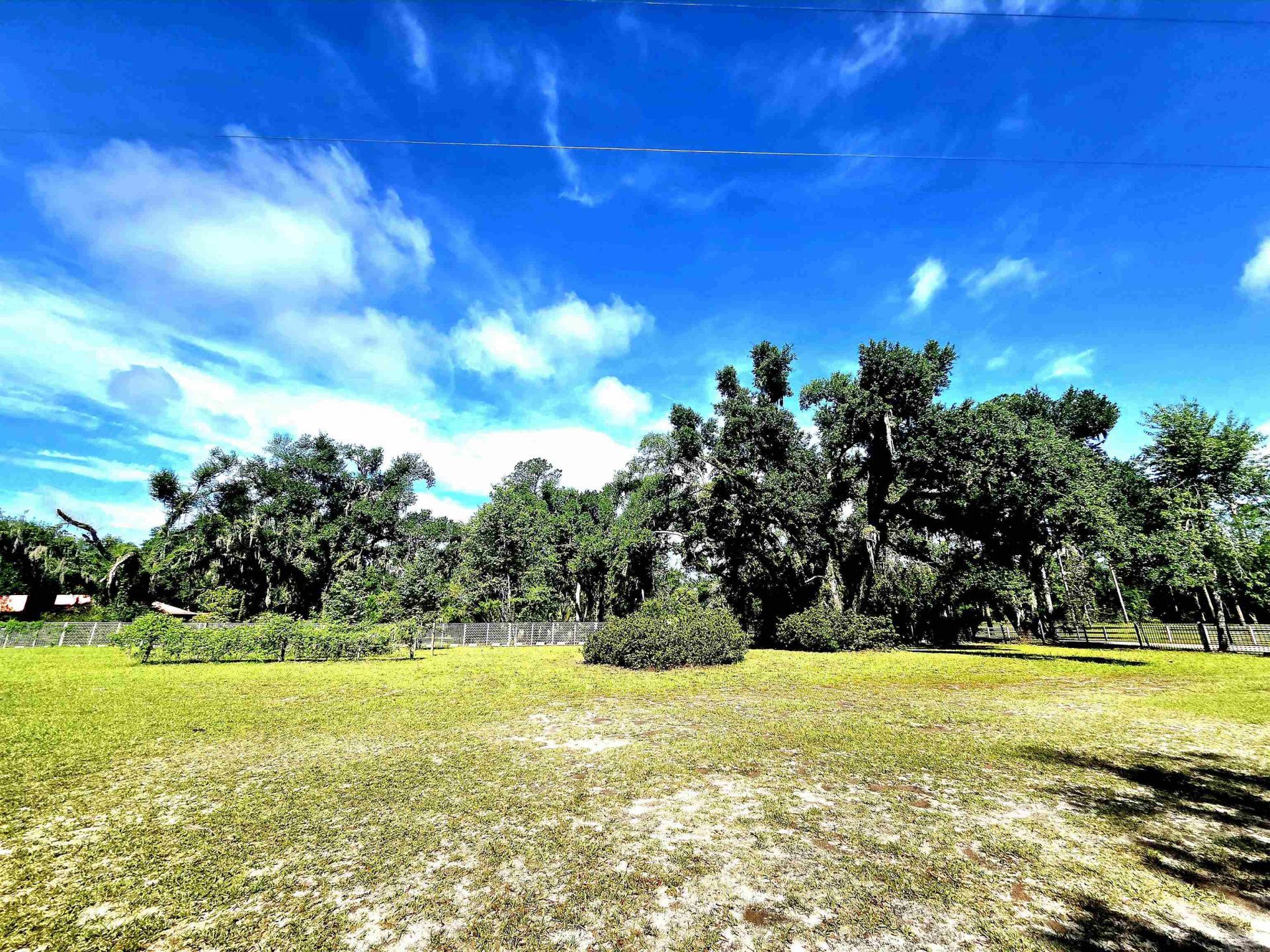 585 Mangum Close Road, Perry, FL 32347 Photo